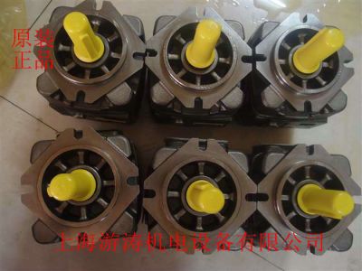 現(xiàn)貨供應力士樂齒輪泵PGH5-3X/250RR07VU2
