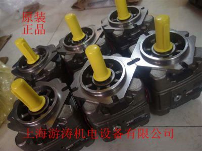 進(jìn)口供應(yīng)齒輪泵PGH5-3X/250RR07VU2 